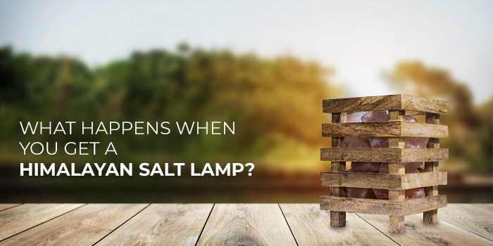 What happens when you get a Himalayan Salt Lamp?